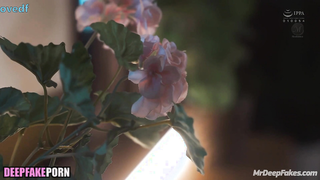 Sex on the kitchen with 范冰冰 Fan Bingbing will always be passionate 成人 adult